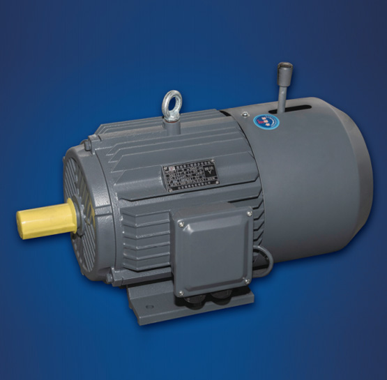 YEJ系列电磁制动三相异步电动机